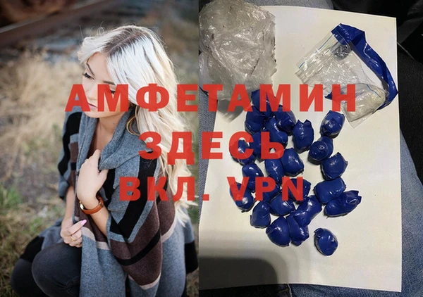 стаф Медногорск