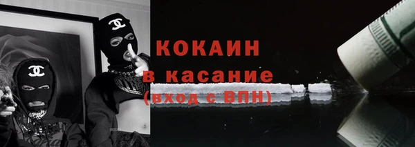 прущие грибы Медвежьегорск