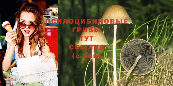 прущие грибы Медвежьегорск