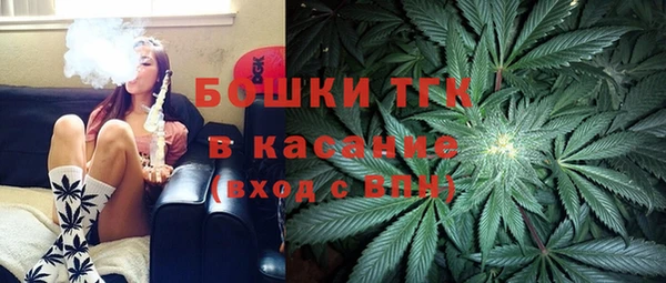 прущие грибы Медвежьегорск