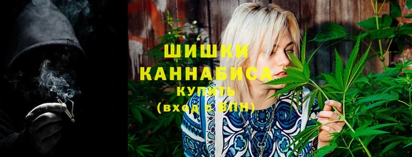 прущие грибы Медвежьегорск