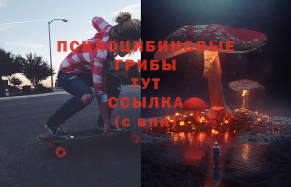 стаф Медногорск