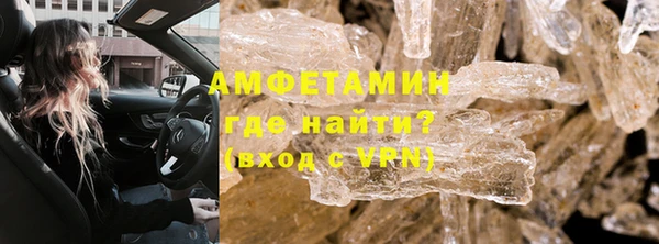 прущие грибы Медвежьегорск