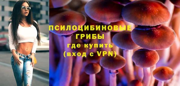 мет Мегион