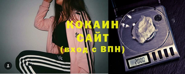 стаф Медногорск