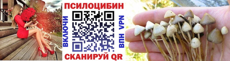 Галлюциногенные грибы GOLDEN TEACHER  Динская 